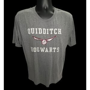 Harry Potter Embroidered Hogwarts Quidditch T-Shirt - XL - Gray- Wizarding World